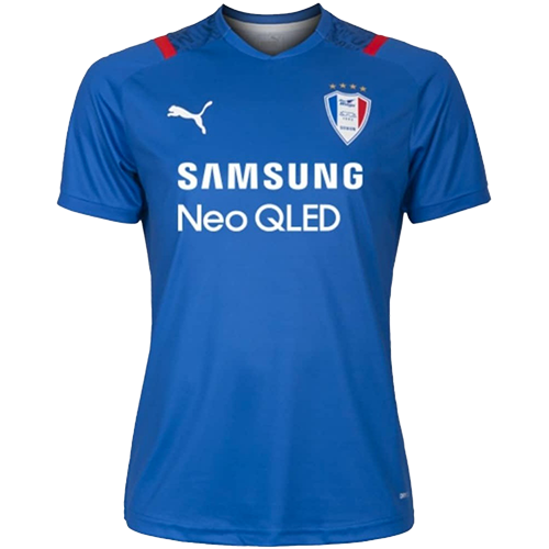 Suwon Samsung Bluewings artwork 2