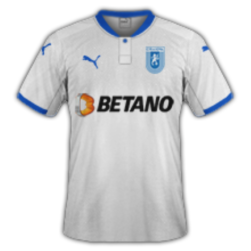 Universitatea Craiova artwork 3