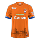 Albirex Niigata S jersey