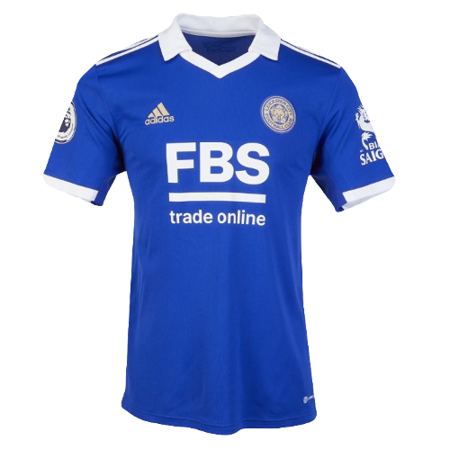 Leicester City WFC artwork 3