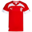 Denmark Handball kit