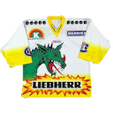 Fribourg jersey