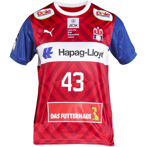 Handball Sport Verein Hamburg artwork 3