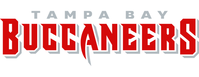 Tampa Bay Buccaneers artwork 2