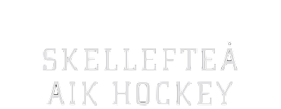 Skellefteå AIK artwork 2