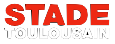 Stade Toulousain artwork 2