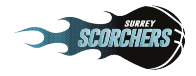 Surrey Scorchers artwork 2