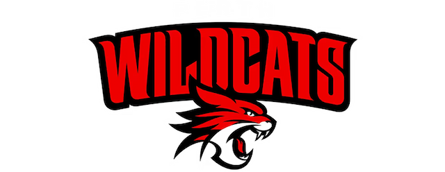 Perth Wildcats artwork 2
