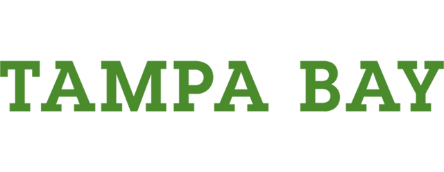 Tampa Bay Rowdies artwork 2