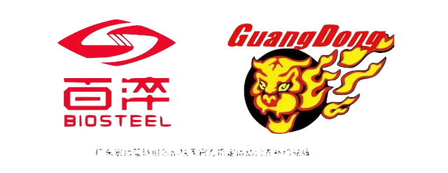 Guangdong Southern Tigers artwork 2