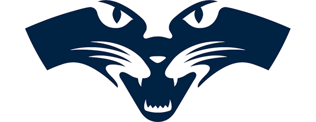 Geelong Football Club artwork 2