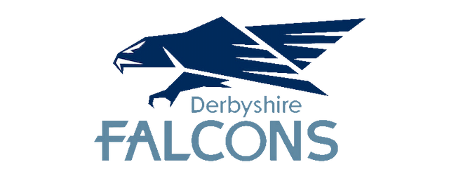Derbyshire Falcons artwork 2