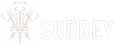 Surrey t20 artwork 2