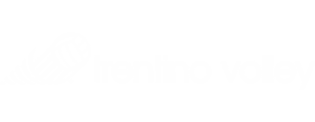 Trentino Volley artwork 2