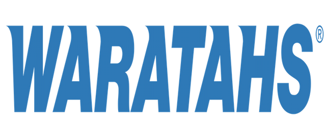 New South Wales Waratahs artwork 2