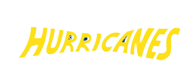 Wellington Hurricanes artwork 2