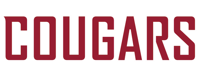 Washington State artwork 2