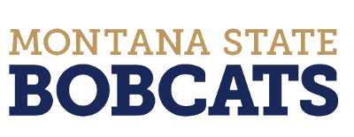 Montana State artwork 2