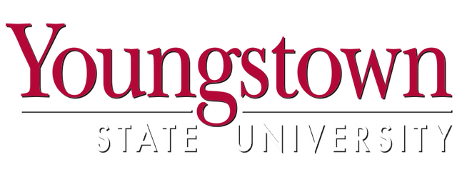 Youngstown State artwork 2