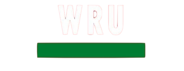 Wales Rugby artwork 2