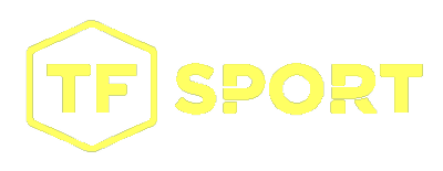 TF Sport GT4 artwork 2