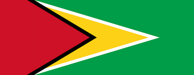 Guyana artwork 2