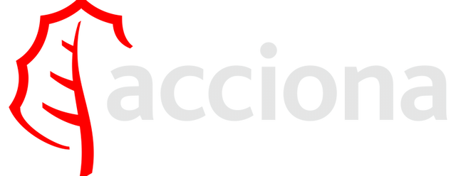 Acciona Sainz XE Team artwork 2