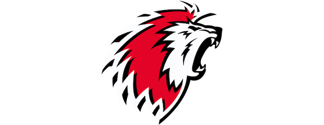 Lausanne HC artwork 2