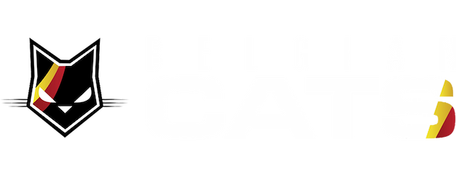 Belgium Basketball Women artwork 2