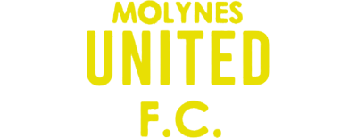 Molynes United artwork 2