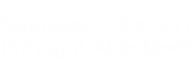 Swansea University artwork 2