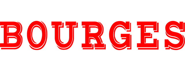 Bourges Foot 18 artwork 2