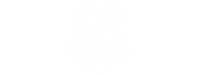 Bdin Vidin artwork 2