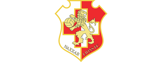 Naxxar Lions artwork 2