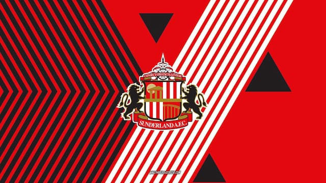 Sunderland artwork 5