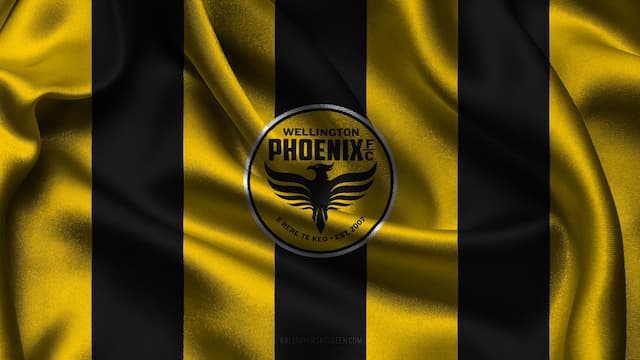 Wellington Phoenix artwork 5