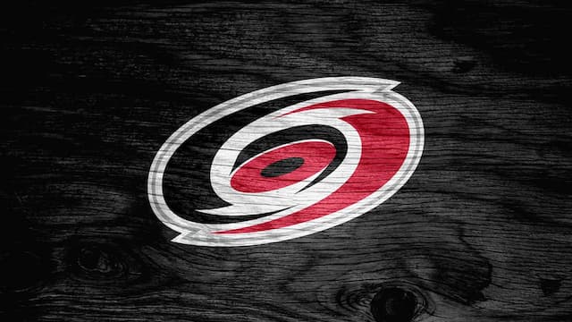 Carolina Hurricanes artwork 5