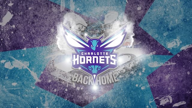 Charlotte Hornets artwork 5