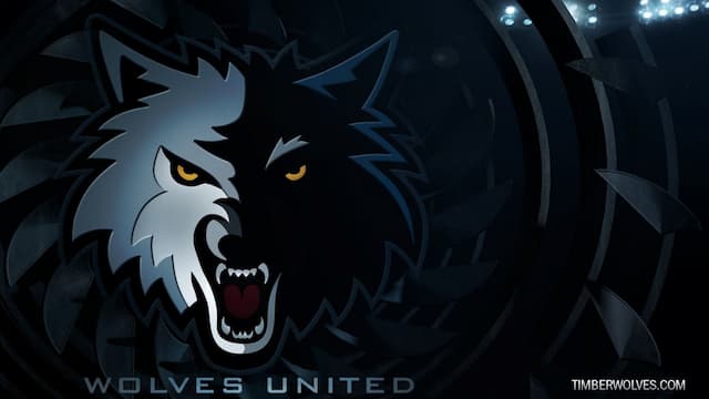 Minnesota Timberwolves artwork 5
