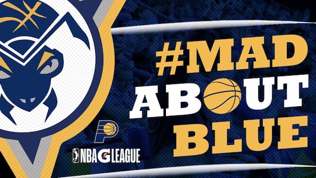 Fort Wayne Mad Ants artwork 3