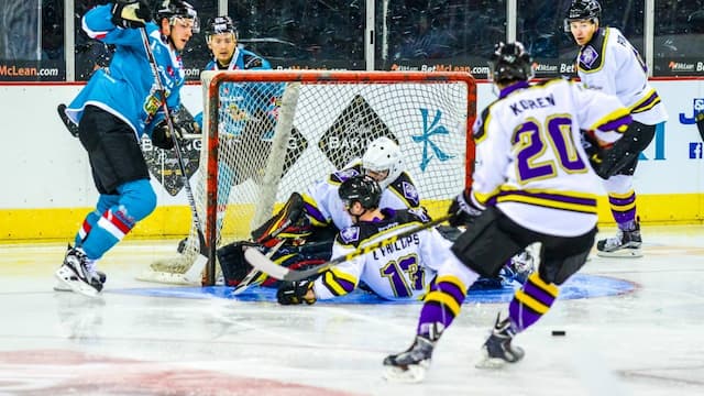 Belfast Giants artwork 5