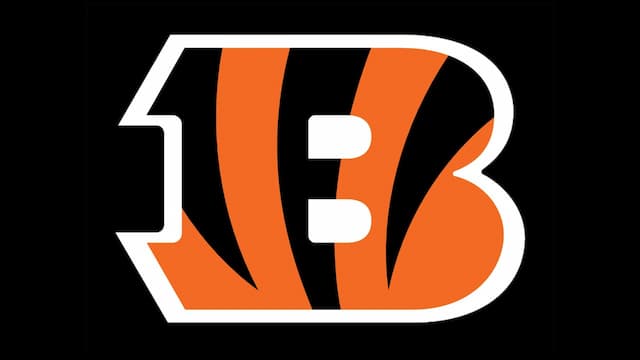 Cincinnati Bengals artwork 5