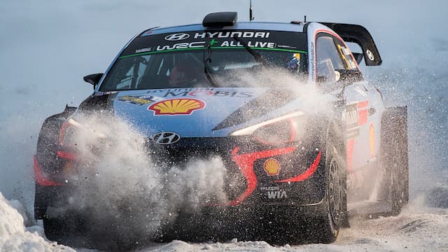 Hyundai Shell World Rally Team artwork 5