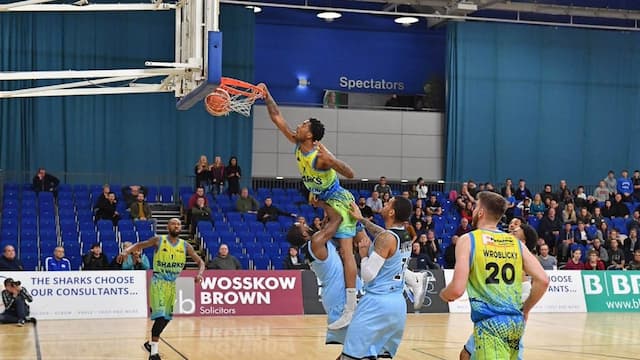 Sheffield Sharks artwork 5