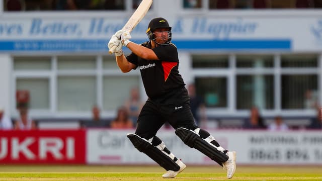 Leicestershire Foxes artwork 5