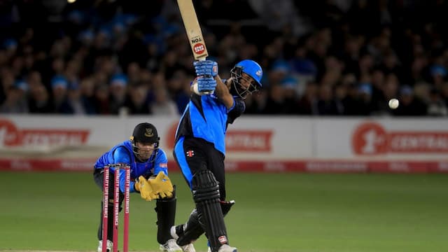 Sussex Sharks artwork 5