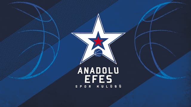 Anadolu Efes SK artwork 3