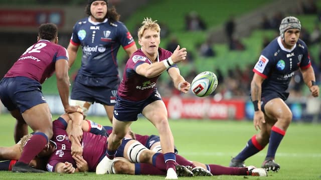 Queensland Reds artwork 5