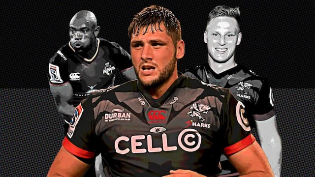 The Sharks artwork 5