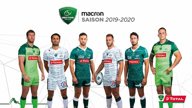 Section Paloise artwork 5